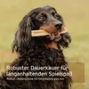 AniForte Käse Kauknochen für Hunde 138-155 g – Natürlicher Produktbild-Vorschau 6