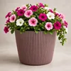 Prosperplast plantenpot Buckingham - terra bruin - diameter Productafbeelding-voorbeeld 1