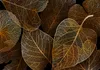 Vlies Fototapete - Nature in My Home - First Variant Produktbild-Vorschau 5