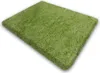 A green rug on a white background. Anteprima dell’immagine prodotto