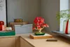 LEGO BOTANICALS 10348 Japanese Red Maple Bonsai Tree Anteprima dell’immagine prodotto 37