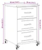 VidaXL 846728, Schwarz, Stahl, 360 mm, 390 mm, 590 mm, 1 Produktbild-Vorschau 8