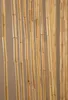 Import Dekorationsvorhang "Tonkin" unifarben beige, 90 x Produktbild-Vorschau 3