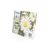 Epson Daisy Multipack 4 Farben 18 Claria Home Ink, Produktbild-Vorschau 7