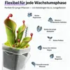 Anzuchttöpfe transparent mit Etikett | 12 Stück quadratisch Produktbild-Vorschau 3