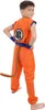 Kostium dziecięcy Son Goku | dres od Muten Roshi | rozmiar: Podgląd zdjęcia produktu 5