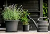 orthex4003529 orthex Splash annaffiatoio, 5,0 litri, nero Anteprima dell’immagine prodotto 3
