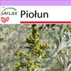 SAFLAX - Piołun - 500 Nasiona - Artemisia absinthum Podgląd zdjęcia produktu 10