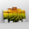 Bild auf Leinwand - Leinwandbild - Land Weingut Pflanzung - Produktbild-Vorschau 4