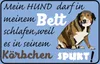 vianmo Holzschild 20x30 cm mein Hund darf im Bett schlafen Produktbild-Vorschau 1