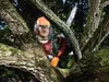 Akumulatorowa pilarka łańcuchowa Black + Decker 36 V, 30 Podgląd zdjęcia produktu 17