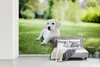 MuchoWow® Fototapete für Wohnzimmer oder Schlafzimmer Produktbild-Vorschau 5