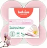 Bolsius Duftteelichter Maxi Magnolie, Höhe 1,17 cm, Ø 4,5 Produktbild-Vorschau 7