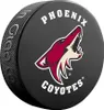 NHL Fan-Puck Stitch Blister (1 pezzo), Carolina Hurricanes Anteprima dell’immagine prodotto 19