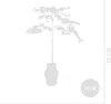 Bloomique - Acer Shirasawanum Moonrise - Klon japoński na Podgląd zdjęcia produktu 6