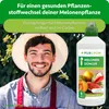 Purgrün -Melonen-Dünger 1 Liter Produktbild-Vorschau 2
