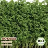 Samenliebe  Kresse Samen | Gartenkresse & Küchenkraut - Produktbild-Vorschau 4