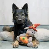 4L Textil MOLLY Hundekissen flauschig Cord Hundebett Grosse Produktbild-Vorschau 4