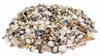 NaDeco Muschelmix Small 0,5 kg, kleine Muscheln und Produktbild-Vorschau 1
