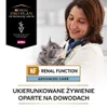 Purina Veterinary Diets Feline NF Renal Function Łosoś - Podgląd zdjęcia produktu 11