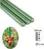 Tyč k rostlinám METALPLAST 210 cm Náhled obrázku produktu 2