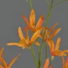 artplants.de Textilblume Tweedia solanoides Pallas, orange, Produktbild-Vorschau 4