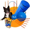 PFOTENWUNDER® 9-in-1 set agilità cani grandi + 21 min. Anteprima dell’immagine prodotto 8
