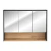 Spiegelschrank 100 cm BOLOGNA-56 in anthrazit mit Artisan Produktbild-Vorschau 5