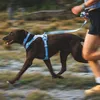 Ruffwear Hundegeschirr Front Range® Flex Harness Polar Produktbild-Vorschau 5