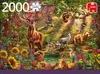 Premium Collection Zauberwald bei Sonnenuntergang - 2000 Produktbild-Vorschau 1