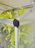 Serre de jardin adossée 0.75m² argent - Palram - 702969 - Voir les images du produit 21