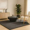 A living room scene with a large rug, coffee table, plant, and armchair. Produktbild-Vorschau