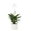 SUNLiTE 7W LED lampada per piante bianche da interno, con Anteprima dell’immagine prodotto 10