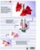 Olympia Laminierfolien DIN A4 80 micron (25 Stück) Produktbild-Vorschau 5
