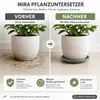Pflanztopfuntersetzer Mira Anthrazit Ø 24cm - Frostsicher & Produktbild-Vorschau 6