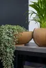 Capi Europe - Schale Groove Indoor - Goud - 40x15 Productafbeelding-voorbeeld 6