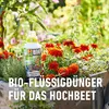 COMPO  Hochbeetdünger - 1 Liter Produktbild-Vorschau 3