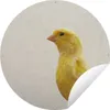 MuchoWow® Produktbild-Vorschau 1