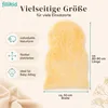 Fillikid Lammfell Natur Exklusiv Produktbild-Vorschau 4