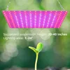 Pěstební světlo LED, červené/modré, plné spektrum, 81 LED, Náhled obrázku produktu 2