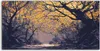 Coloray Acrylbild 100x50  Wandbild Acrylbilder Nacht Herbst Produktbild-Vorschau 1