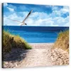 Leinwandbild Weg zum Strand und Möwe 50x50 Feeby Blau bild Produktbild-Vorschau 1
