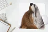 MuchoWow® Mauspad Mousepad Fuchs - Nase - Weiß 30x30 cm - Produktbild-Vorschau 5