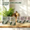 Hundenassfutter - Huhn mit Naturreis an Möhren & roten Produktbild-Vorschau 9
