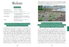 Das Gemüsegarten 1 x 1 Produktbild-Vorschau 4