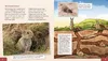 Meine große Tierbibliothek: Das Kaninchen Produktbild-Vorschau 4