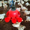 Automatyczne poidła dla kur i drobiu, 6 szt. – Podgląd zdjęcia produktu 4