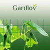 Filet - tuteur pour plantes 2x10m Gardlov 23978 Voir les images du produit 9