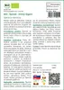 SAFLAX - BIO - Špenát - Zimný Gigant - Spinacia oleracea - Náhľad obrázku produktu 3