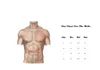 AA Fitness Gear ceinture d'haltérophilie 11mm d'épaisseur - Voir les images du produit 2